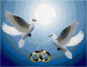свадебный голуби - символ счастья