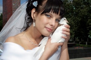 свадебные голуби- символ счастья